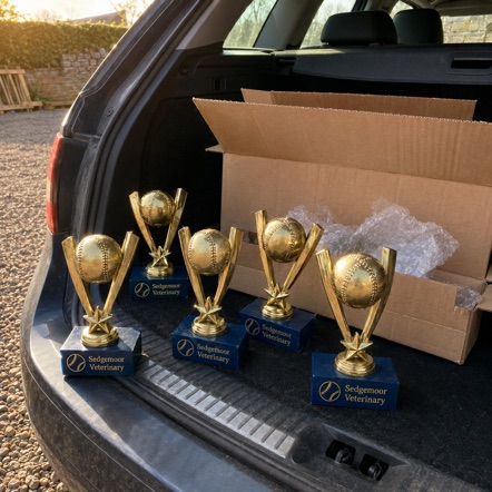 Baseball trophies with logo printing