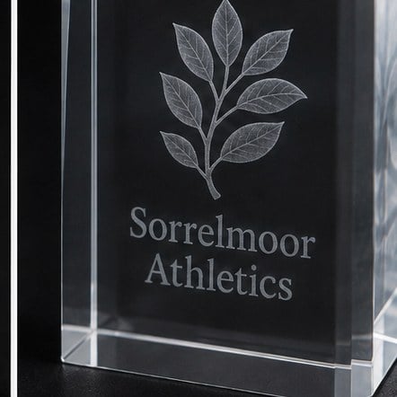 Baseball trophies with logo printing