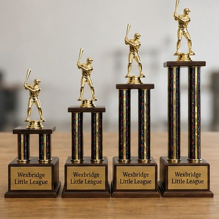 Customized baseball trophies for little leagues and rec leagues