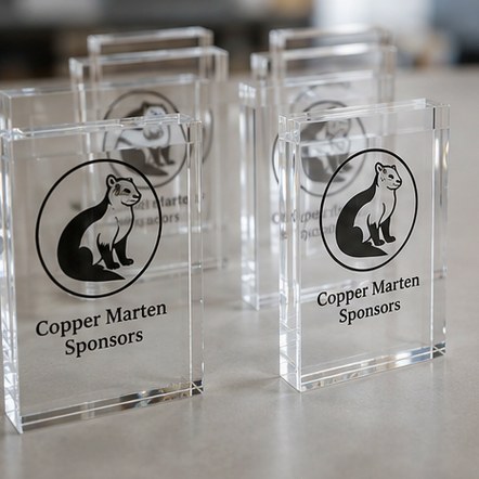 Customized baseball trophies for tournaments and showcases